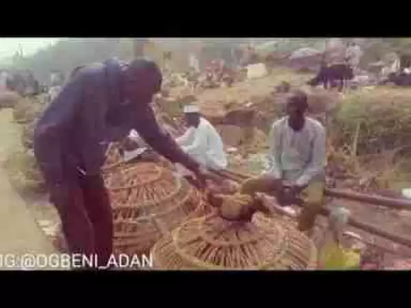 Video: Ogbeni Adan – The African Father and His Chicken PART1